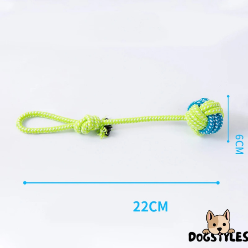 DogStyles™ | Jouets interactif