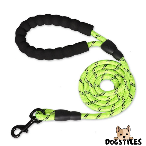 DogStyles™ | Laisse