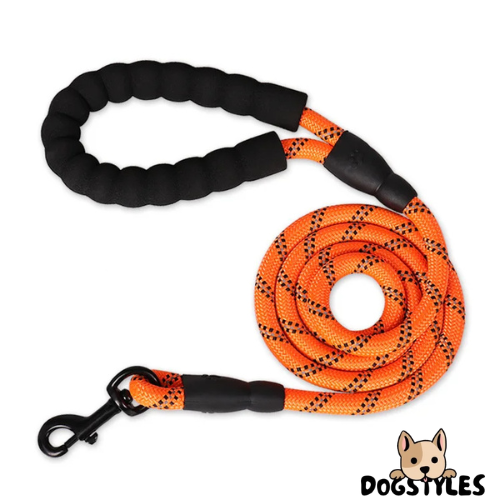 DogStyles™ | Laisse