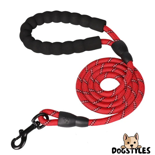 DogStyles™ | Laisse