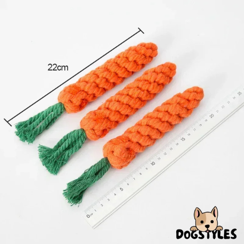 DogStyles™ | Jouet carotte