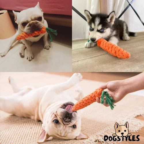 DogStyles™ | Jouet carotte