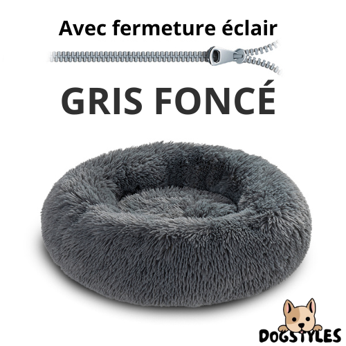 DogStyles™ | Coussin
