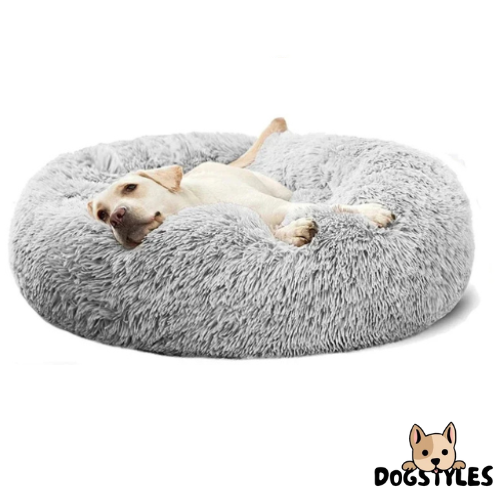 DogStyles™ | Coussin