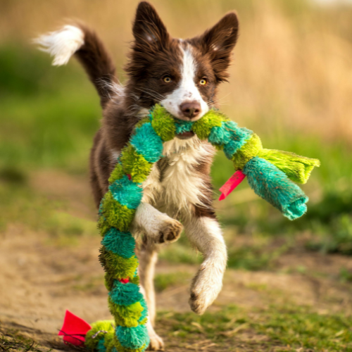 Jouets