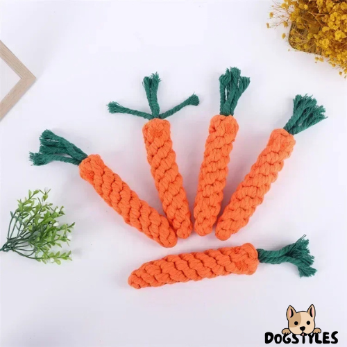 DogStyles™ | Jouet carotte